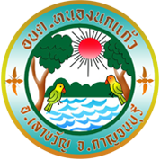 Customer Logo
