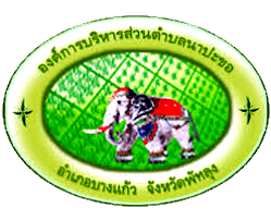 Customer Logo