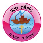 Customer Logo